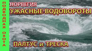 УЖАСНЫЕ водовороты, ПАЛТУС, треска. Подводная охота в Норвегии.