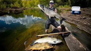 SpearFishing GIANT Carp To Feed Local Families!!! (underwater) | Jiggin' With Jordan