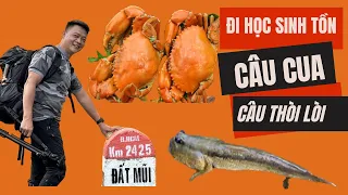 Learn survival experience in Dat Mui Ca Mau - how to fish for crabs and slugs with less slip