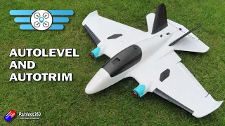 INAV level fixed wing