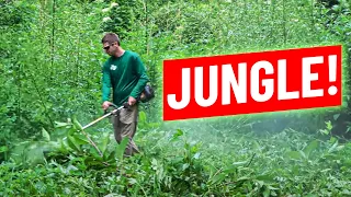 Weed Eater Dominating Crazy Tall Grass and Weeds