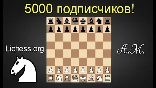 5000 подписчиков! Праздничный стрим на lichess.org ШАХМАТЫ.Андрей Микитин.