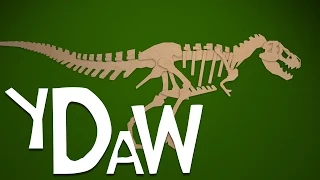 Tyrannosaurus Skeleton: Your Dinosaurs Are Wrong #10