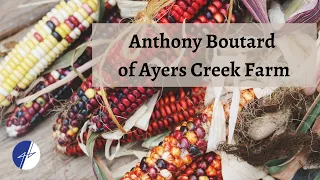 Interview with Anthony Boutard of Ayers Creek Farm: The Good and Basic Podcast ep. 29