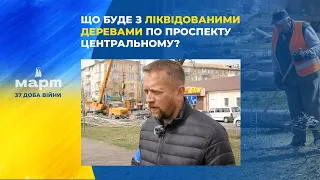 Для чого спилюють високі тополі по проспекту Центральному в Миколаєві?