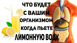 Что происходит с Вашим телом, когда вы пьете лимонную воду? Вода с лимоном, польза или вред