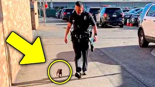 Um Cão de Rua Segue um Policial e o que Acontece a Seguir vai Derreter seu Coração