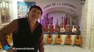 Colección de Guitarras José Luis Postigo -  La Casa de la Guitarra