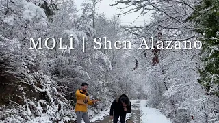 Moli | Shen Alazano