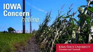 Iowa Concern Hotline - Derecho/Storm Damage