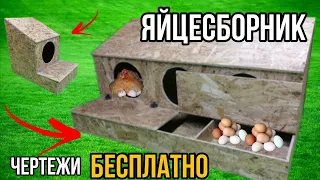 Куры клюют яйца??? Сделай и себе это СУПЕР гнездо для КУР с ЯЙЦЕСБОРНИКОМ