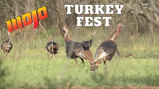 [ TEXAS THUNDER ] Turkey Fest Competition in Texas