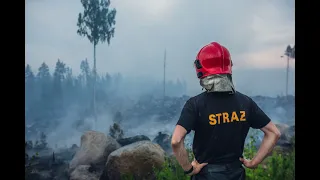 Polish firefighters in Sweden