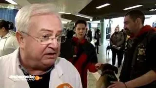 "Drehscheibe Deutschland" im Sender ZDF & Tier-Not-Hilfe Frankfurt