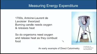 Does energy expenditure mediate weight change?