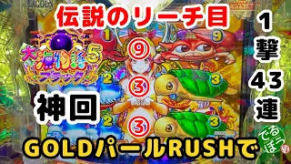 【神回】3月4日パチンコ実践　P大海物語5ブラック　GOLDパールRUSHで伝説のリーチ目　自身最高連チャン　伝説のリーチ目は本物だった