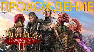 Форт радость и крокодилы | Divinity: Original Sin 2 | Прохождение #2