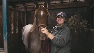 Let’s Breed Ginger & Check Mares!🐴 (3/29)