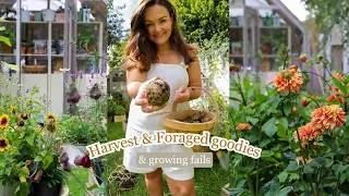 🥔 Potato harvest! & some foraged beauty goodies 🌸 Plus, my top creative inspiration book!