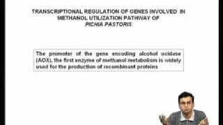 Mod-02 Lec-05 Transcription factors : DNA binding domains