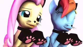 [MLP] [SFM] Sad Cat Dance // Meme // New Compilation on YouTube #2 !