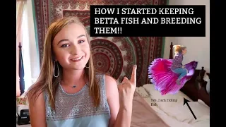 HOW I GOT STARTED KEEPING BETTA FISH AND BREEDING THEM!! | ItsAnnaLouise