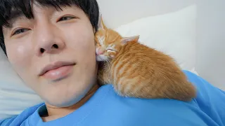 Baby Kitten Bites Me As Much As He Wants and Sleeps Exhausted!