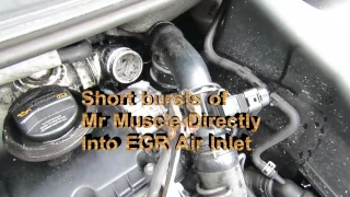 Clean EGR Valve Decarbonize Turbo DPF MPG Limp Mode Mr Muscle VW 1.9TDI Sharan Galaxy Alhambra