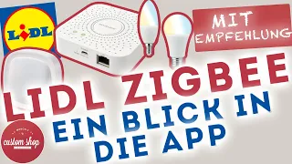 💡LIDL Zigbee Lichtsystem: Rundgang durch die App + Empfehlung