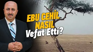 Ebu Cehil'i Öldüren Sahabe Kimdir? | Ömer Döngeloğlu