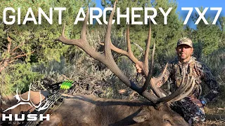 Wyoming GIANT BULL ELK on Public Land | Archery 7x7