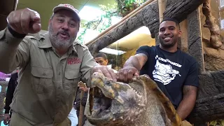 Reptile Room Tour January 2018 with Giant Snapping Turtle