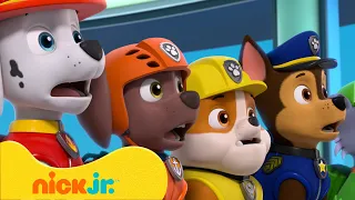 PAW Patrol | ¡Las aventuras más osadas de la Torre de Vigilancia con Chase y Skye! | Nick Jr.