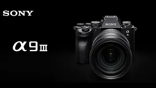 Let's discuss those incredible (and probably fake?) Sony A9III specs!