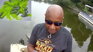 CRAPPIE FISHING WITH THE HOTTEST 1 5  COLOR AND 9' FT YAANNK STIK + A 6LBS  GUEST  #CRAPPIE #FISHING