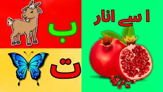 Fun activities | Learn Urdu Alphabets and Words | اردو حروف اور الفاظ