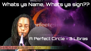 Stoned Chakra Reacts!!! A Perfect Circle - 3 Libras
