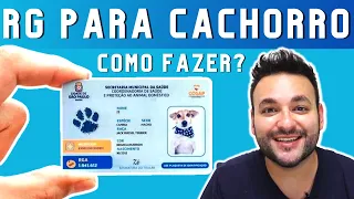 RG PARA CACHORRO GRATUITO! VOCÊ PODE REGISTRAR SEU CACHORRO EM SÃO PAULO. SAIBA MAIS SOBRE O RGA!