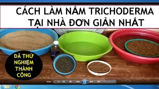 Cách làm nấm trichoderma tại nhà đơn giản nhất