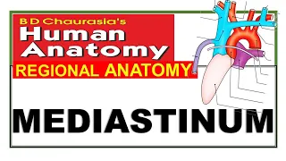 Chp17 | Mediastinum | Thoracic Cavity | Thorax | Thoracic Cage | Thoracic Wall | Dr Asif Lectures