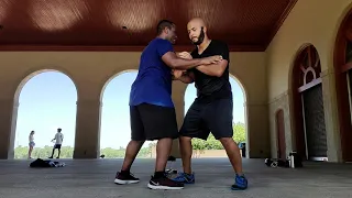 Chi-Sao vs Tui Shou(push hands) #taijiquan #wingchun