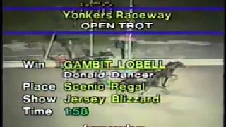 1988 Yonkers Raceway GAMBIT LOBELL Open Trot Donald Dancer