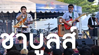 ชาบูลส์ @CAT EXPO 7