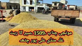 مونجی چناب ،سپر فائن کا ریٹ غلہ منڈی علی پور 2022-09-07