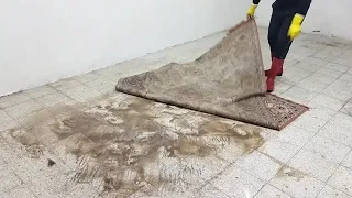 Dirty dusty outdoor carpet cleaning satisfying rug washing ASMR