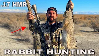 EPIC Rabbit Hunting Using .17  HMR Rifle CATCH CLEAN COOK