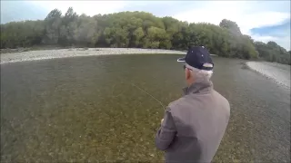 Trout having a good day feeding on insects on a very windy day. It's go hard or go home.