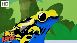 Let's Learn About Colors! | Roy G Biv The Colorful Poison Frog | Wild Kratts