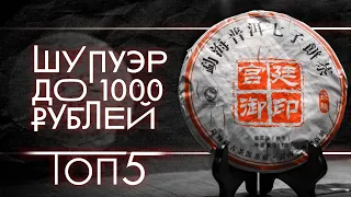 Какой купить шу пуэр до 1000 рублей, подборка от Art of Tea