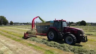 Silage 2023 - Case Magnum 310 & Tarrup 10x